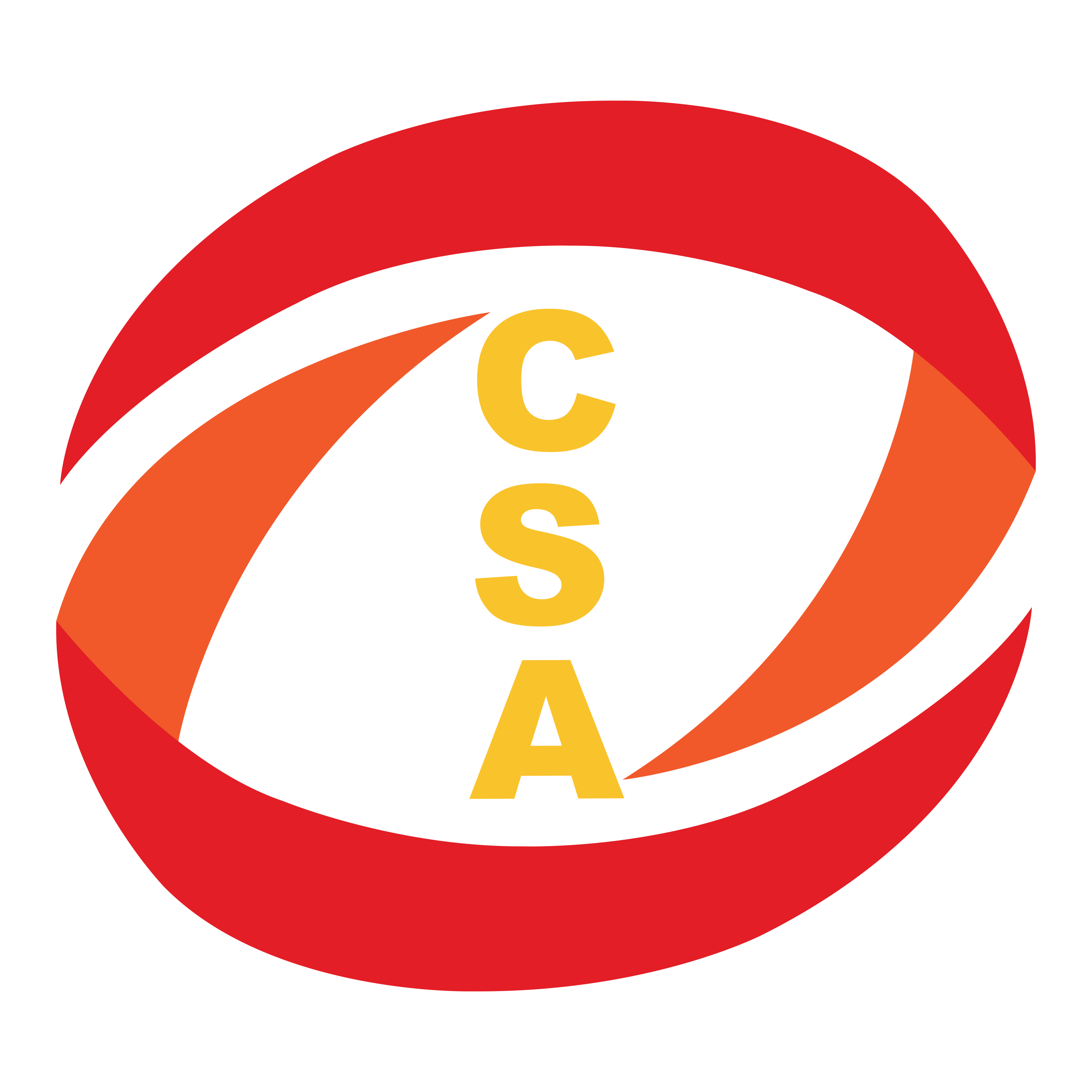CSA Logo